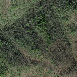 Satellite imagery of Big Fork Ridge, US
