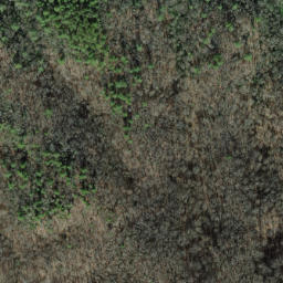Satellite imagery of Big Fork Ridge, US