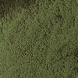 Satellite imagery of Pilot Ridge, US