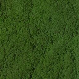 Satellite imagery of Bee Ridge, US
