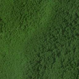 Satellite imagery of Bee Ridge, US