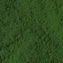 Satellite imagery of Bee Ridge, US