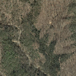 Satellite imagery of Dividing Ridge, US