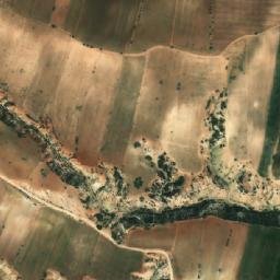 Satellite imagery of Bourahla, DZ
