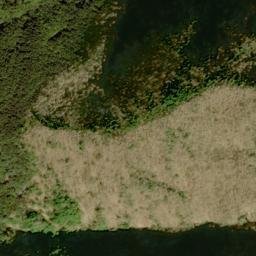 Satellite imagery of survey_point, JP