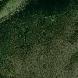Satellite imagery of Boardtree Point, US