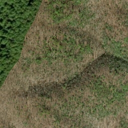 Satellite imagery of Dalton Ridge, US