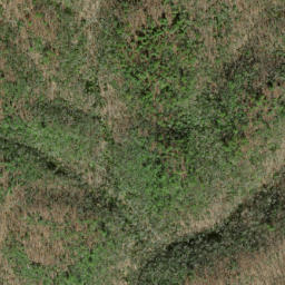 Satellite imagery of Dalton Ridge, US