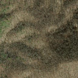 Satellite imagery of Dalton Ridge, US