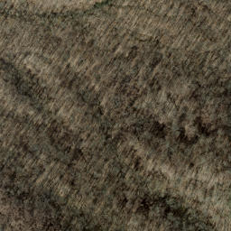 Satellite imagery of Canepatch Ridge, US