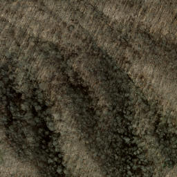 Satellite imagery of Canepatch Ridge, US