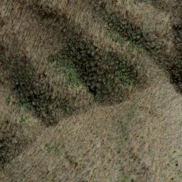 Satellite imagery of Canepatch Ridge, US