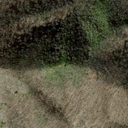 Satellite imagery of Shuckstack Ridge, US