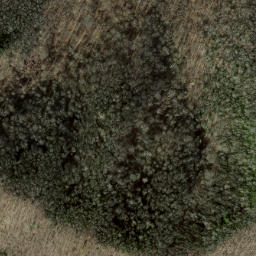 Satellite imagery of Shuckstack Ridge, US
