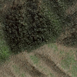 Satellite imagery of Shuckstack Ridge, US