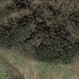 Satellite imagery of Snakeden Ridge, US