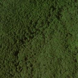Satellite imagery of Loudermilk Ridge, US