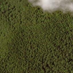 Satellite imagery of Big Fork Ridge, US