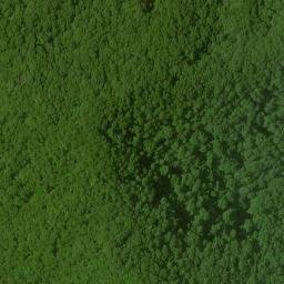 Satellite imagery of Bee Ridge, US