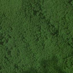 Satellite imagery of Bee Ridge, US