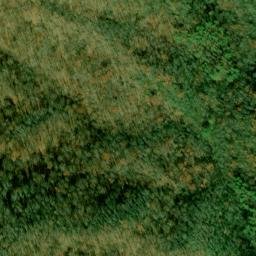 Satellite imagery of Whiteoak Ridge, US