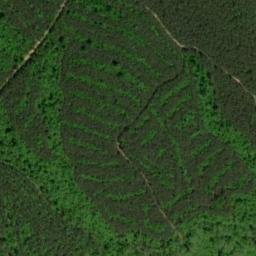 Satellite imagery of Long Ridge, US