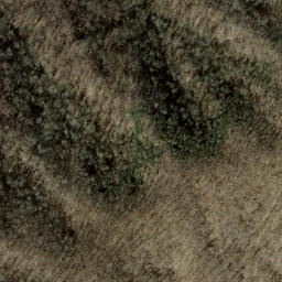 Satellite imagery of Canepatch Ridge, US