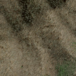 Satellite imagery of Canepatch Ridge, US