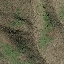 Satellite imagery of Canepatch Ridge, US