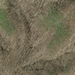 Satellite imagery of Shuckstack Ridge, US