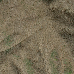 Satellite imagery of Shuckstack Ridge, US