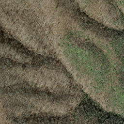 Satellite imagery of Shuckstack Ridge, US