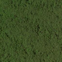 Satellite imagery of Loudermilk Ridge, US
