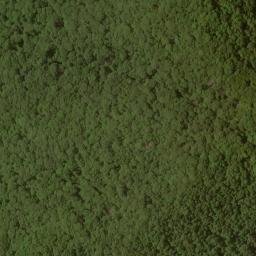 Satellite imagery of Loudermilk Ridge, US