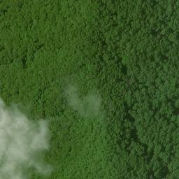 Satellite imagery of Bee Ridge, US