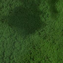 Satellite imagery of Bee Ridge, US