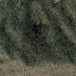 Satellite imagery of Spray Ridge, US