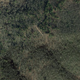 Satellite imagery of Reynolds Gap Overlook, US