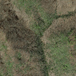 Satellite imagery of Canepatch Ridge, US