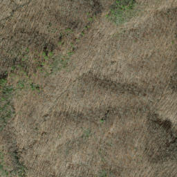 Satellite imagery of Shuckstack Ridge, US