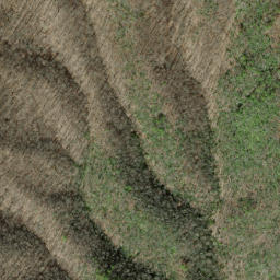 Satellite imagery of Shuckstack Ridge, US