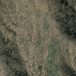 Satellite imagery of Spray Ridge, US