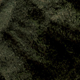 Satellite imagery of Fork Ridge, US