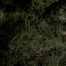 Satellite imagery of Fork Ridge, US