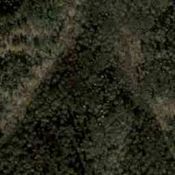 Satellite imagery of Fork Ridge, US