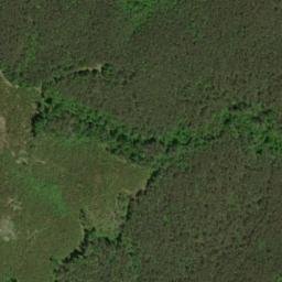 Satellite imagery of Yellow Cliff, US