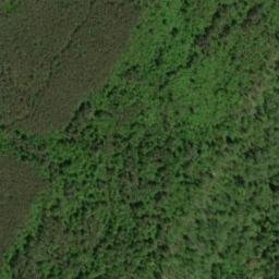 Satellite imagery of Yellow Cliff, US
