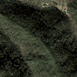 Satellite imagery of Bearwallow Ridge, US