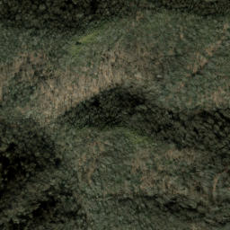 Satellite imagery of Bearwallow Ridge, US