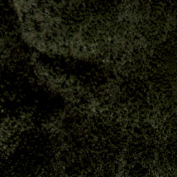 Satellite imagery of Fork Ridge, US